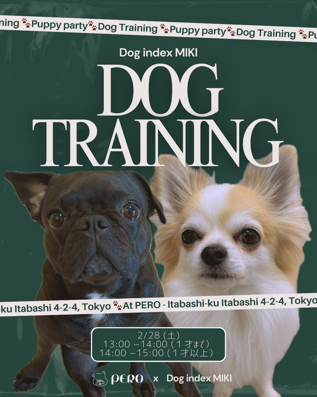 2/28(土）ドッグトレーナーによるトレーニングセッション開催