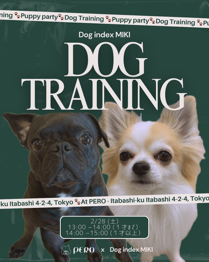 2/28(土）ドッグトレーナーによるトレーニングセッション開催
