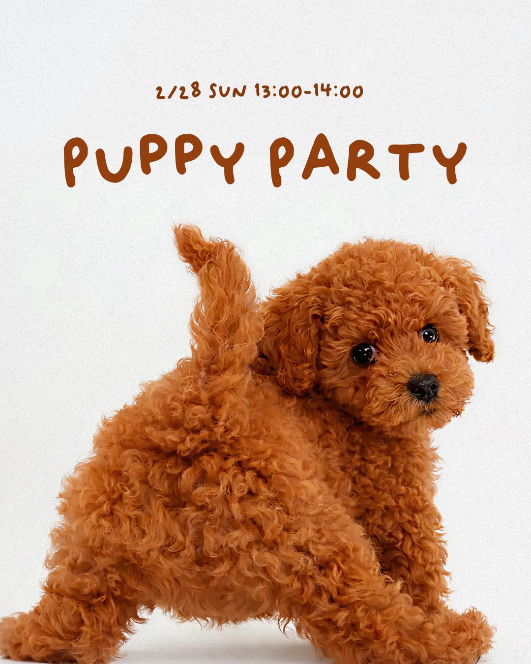 2/28(土）ドッグトレーナーによるトレーニングセッション開催